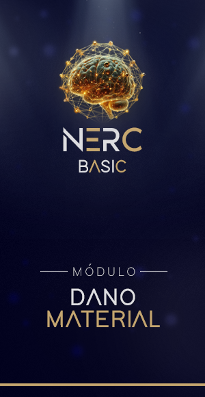 DANO-MATERIAL-AREA_MEMBROS -NERC - BASIC - vertical
